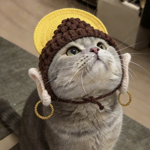 钩针diy手工编织宠物佛祖帽子猫咪狗狗头套可爱搞笑创意拍照道具