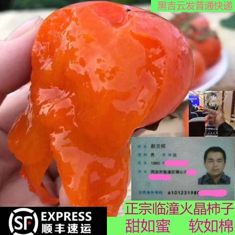 顺丰包邮/陕西西安临潼火晶柿子新鲜当季水晶火罐小甜软柿子