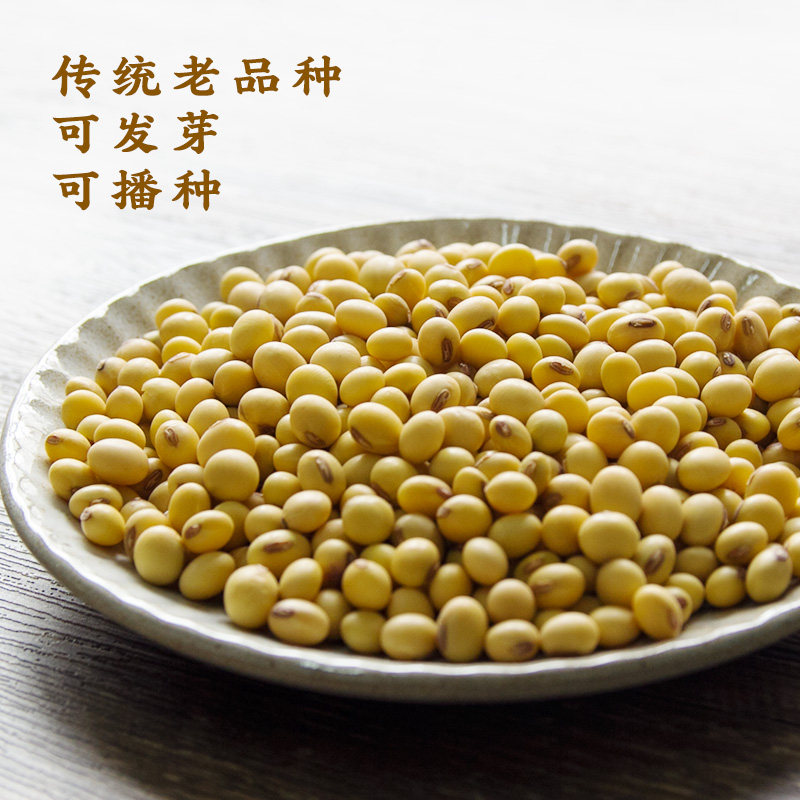 土黄豆非转基因老品种黄豆四川农家自种椭圆豆打豆浆豆腐专用3斤