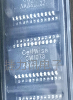 CW1274AFAS全新原装CW1274ALCAS W1244AFAS CW1073保护芯片SSOP16