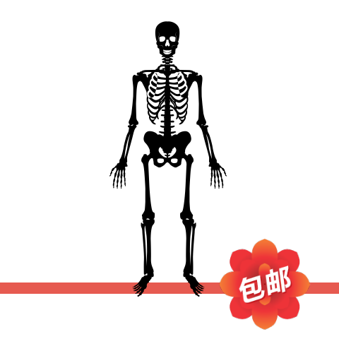 人体骨骼构造图案骨架骷髅头装饰贴画类玻璃门镂空自粘背景墙贴纸