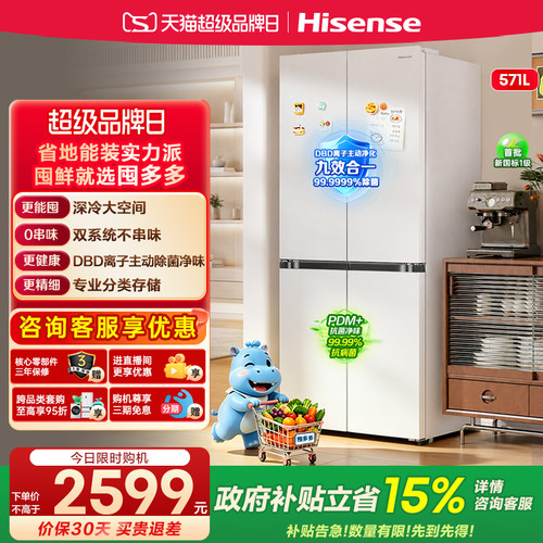 海信囤多多571双系统大容量冰箱