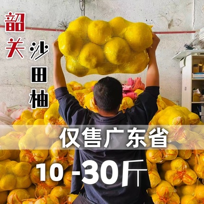 【纯甜】韶关坪石沙田柚当季水果