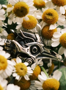 渡鸦工作室原创限量款《蚀日Ⅲ》纯银手工蒸汽朋克机械乌鸦吊坠