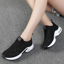 春夏舞蹈鞋女透气新款鬼步舞鞋男士健身广场舞鞋软底杨丽萍跳舞鞋