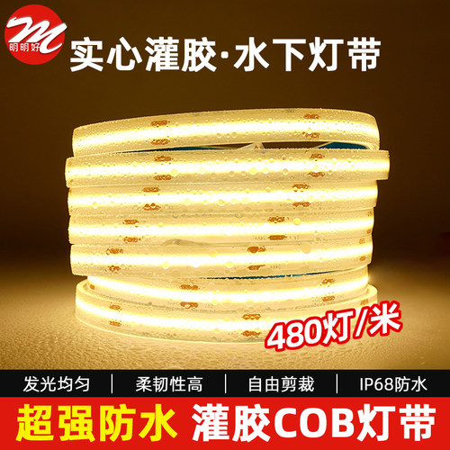 12V汽车载高亮灌胶防水led灯带室外鱼塘泳池水里低压自粘COB灯条