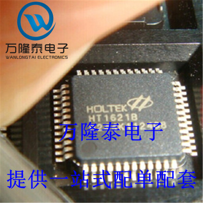 全新原装正品 台湾合泰 HT1621B 贴片SSOP-48 LCD驱动器芯片IC