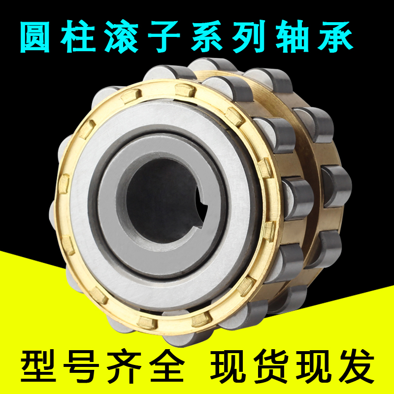 进口减速机偏心轴承RN205 206 307 308 309 312 328 219 222 M
