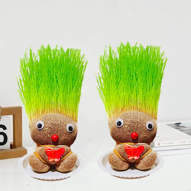 长草头发娃娃长头发的绿植种植小草人头长草娃娃草头娃娃情侣绿植