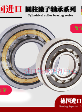 德国FAG进口圆柱滚子轴承 N1019E.M  NU1019E.M  NJ1019E.M 质保