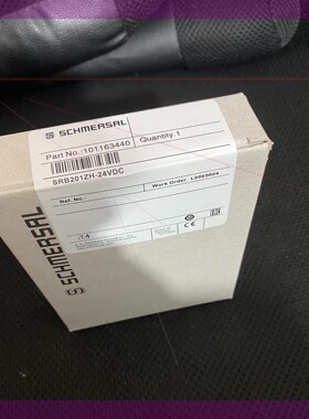 101163440 SRB201ZH 24VDC施迈赛