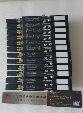 105401184    Multivac莫迪维克 电磁阀
