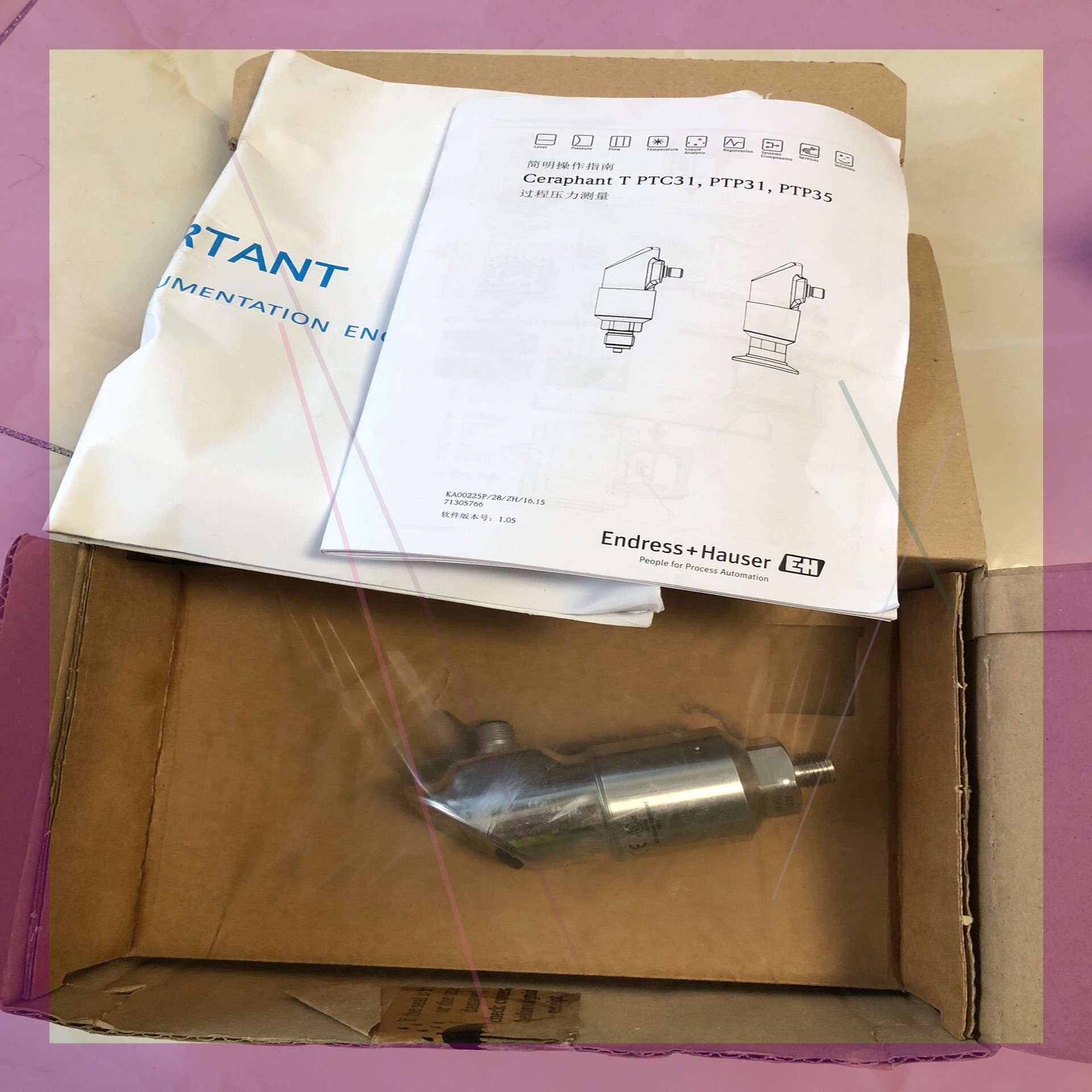 E+H恩德斯豪斯 PTC31-A2A11P1A智能压力开关