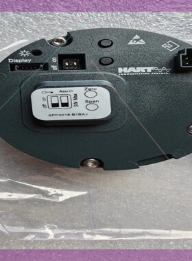 e+h 71404725,电子插件 XPP0018-81BAJ VB2BC901C4C