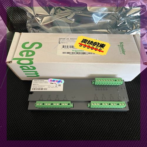 施耐德 59646(&59645)MES114  Sepam