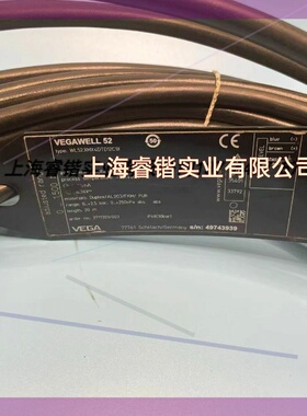 德国VEGA VEGAWELL 52变送器WL52.XMX4DTD12C1X