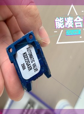 美国Automatic Valve电磁阀K0222GAXR