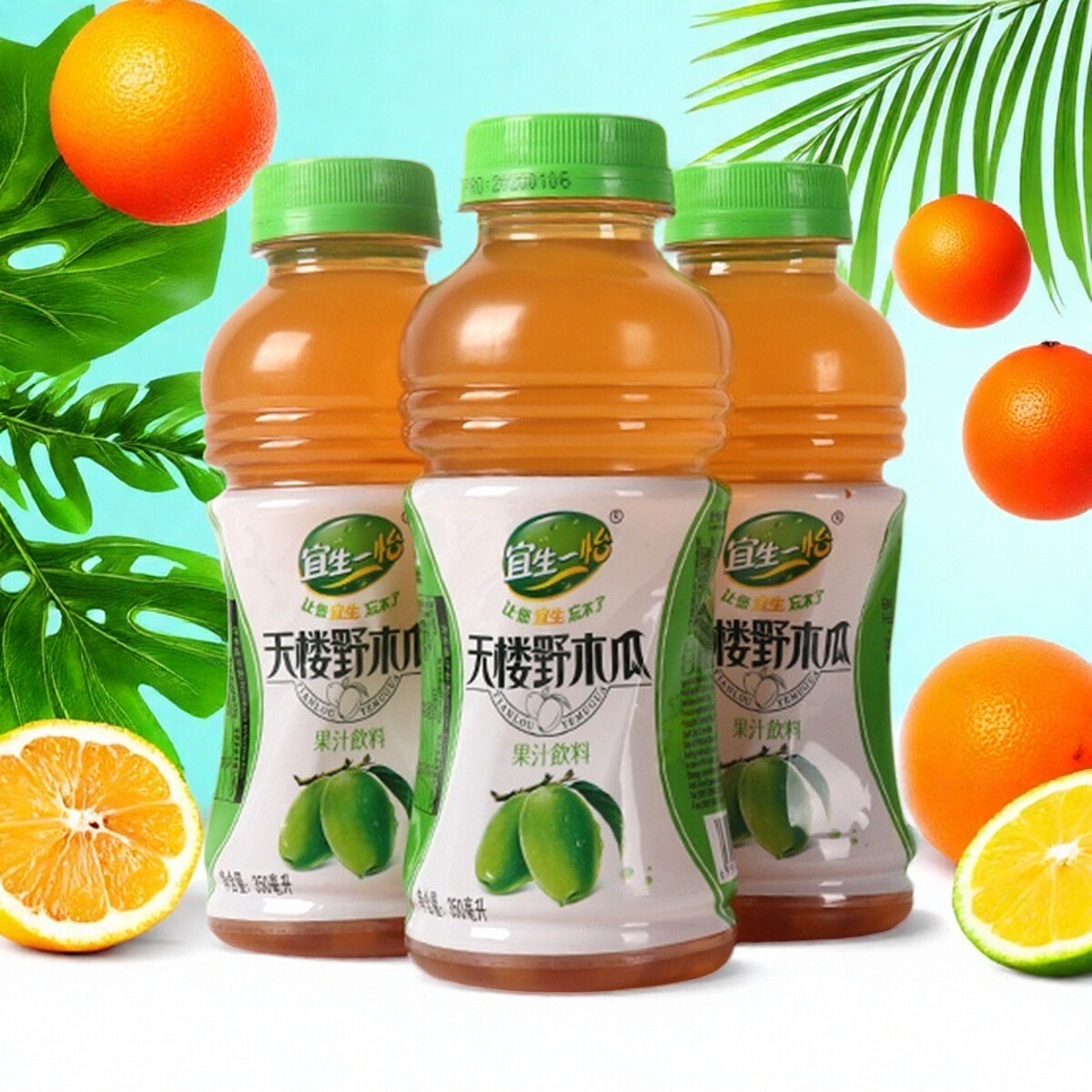 贵州正安果蔬汁饮料天楼