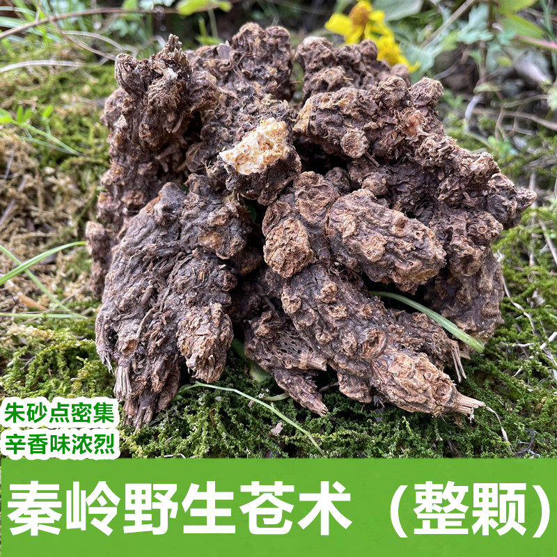 秦岭野生苍术整棵北苍术块苍术 野生茅苍术 中药材苍术粉熏烟