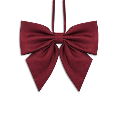 jk领结女领花职业蝴蝶结配饰毕业