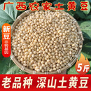 广西老品种黄豆2023新鲜豆农家自种小黄豆打豆浆专用椭圆形笨黄豆