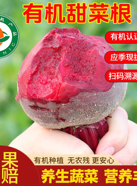 有机认证甜菜根现拔红菜头红叶菜火焰菜beetroot五斤装农产品