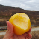 4.5斤 12枚彩箱 超级好吃黄金维纳斯丑苹果香甜家庭装 花西妃