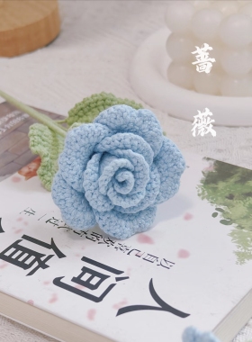 秀密 手工钩织永不凋零花束仿真花 单支花束送闺蜜生日教师节礼物