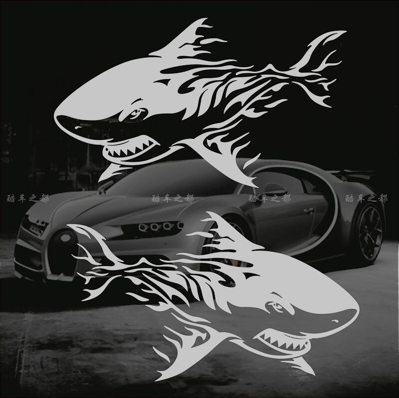个性鲨鱼创意贴纸装饰贴画
