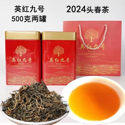 2024头春茶英红九号浓香英德红茶