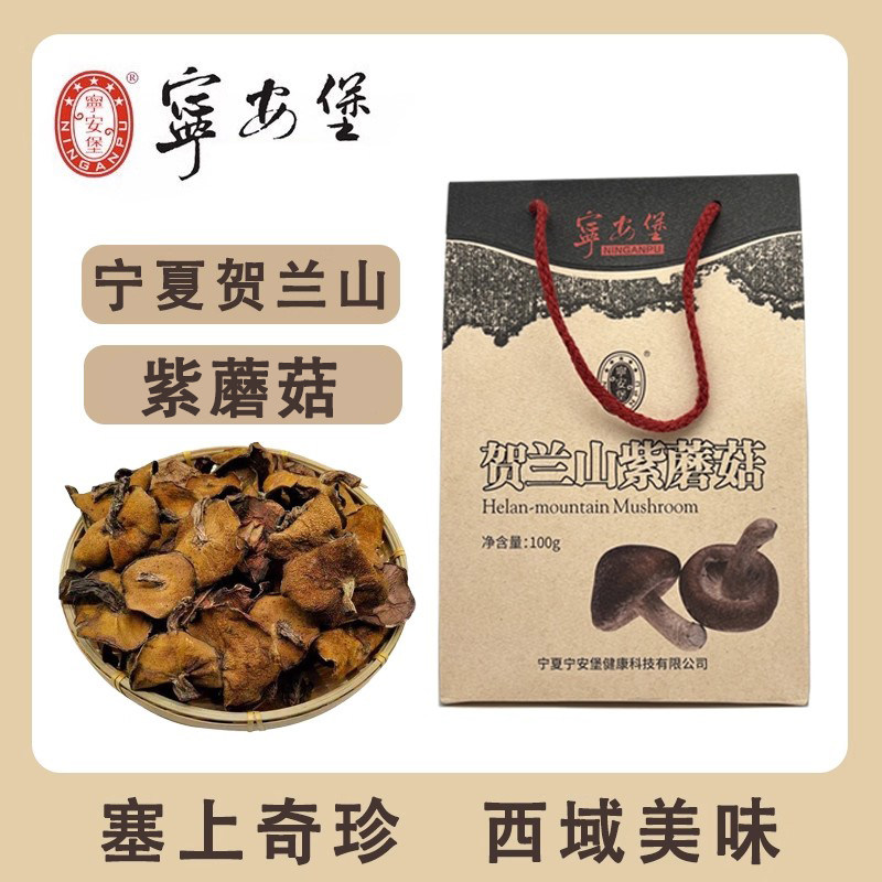 宁夏土特产宁安堡贺兰山紫蘑菇野生菌100克包邮农家干货内蒙古