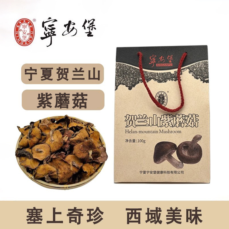 宁夏土特产宁安堡贺兰山紫蘑菇野生菌菇100克包邮农家干货内蒙古