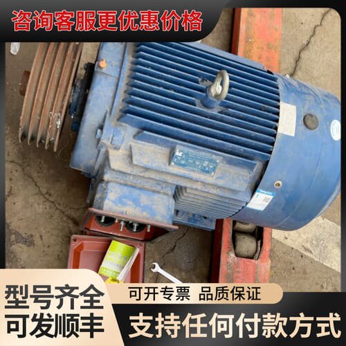 议价 江天 YE2-200L-4 三相异步电动机 30Kw 可维修