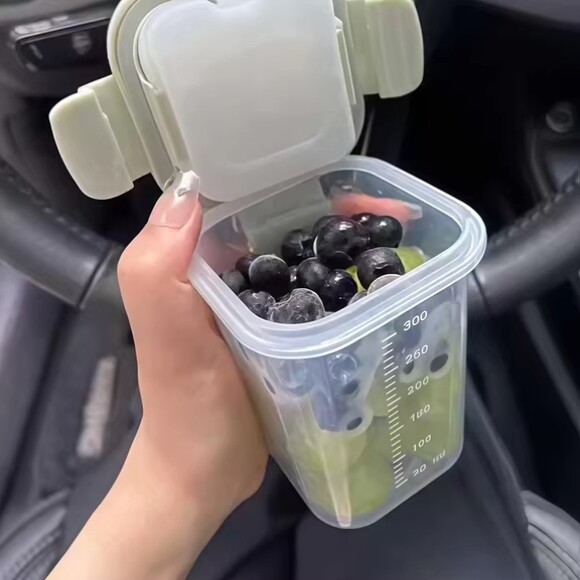 【自带冰盒】保鲜盒水果便当盒辅食密封盒食品级上班带饭轻便饭盒