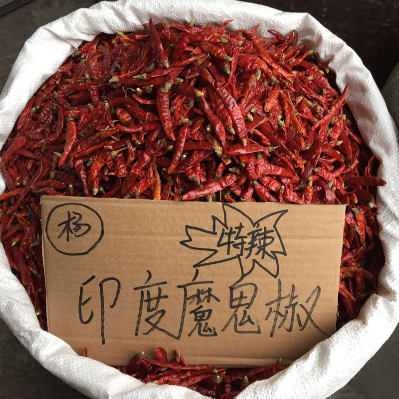 鬼椒面干辣椒特辣魔鬼辣椒段印度椒香辣魔鬼辣超辣辣椒王鬼椒面特