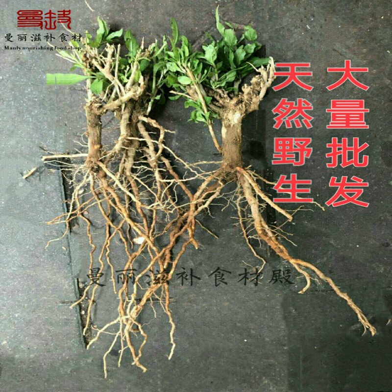 食用新鲜枸杞叶苗干枸杞头枸杞苗食用枸杞菜叶苗枸杞盆栽盆景现挖