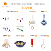5个月家庭套装 蒙生教育 蒙氏教具蒙台梭利早教益智玩具家庭方案0
