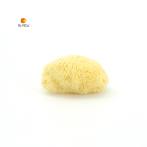 天然海绵蒙生丝海绵照顾环境清洁