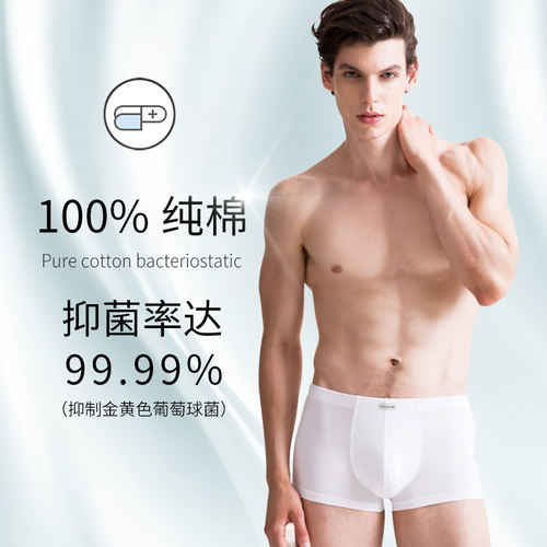棉文化100%抑菌透气纯色平角裤