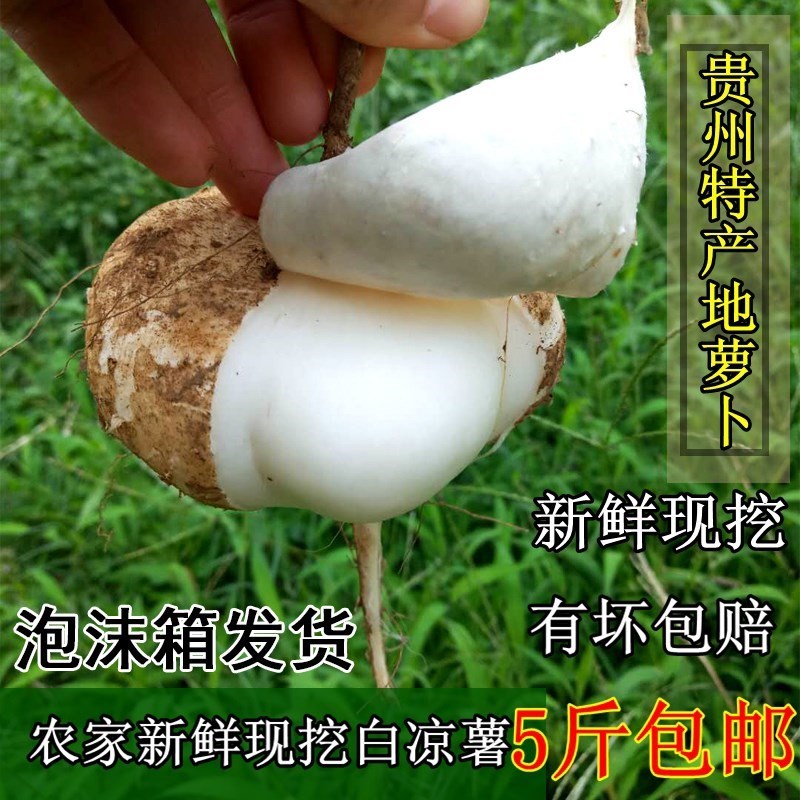 Farm fresh Cold potato 10 Guizhou specialty radish Sweet potato White potatoes Kwa Sago 5in the Aquatic meat/Fresh fruits and vegetables/Cooked , Fresh vegetables/Vegetable products , Fresh vegetables , Sweet potato  category - from Buy2taobao.com to provide professional Taobao agent buy service