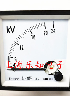 乐磁LECI直流指针式电流表 安装式电流表6L2-A 100V  20KV