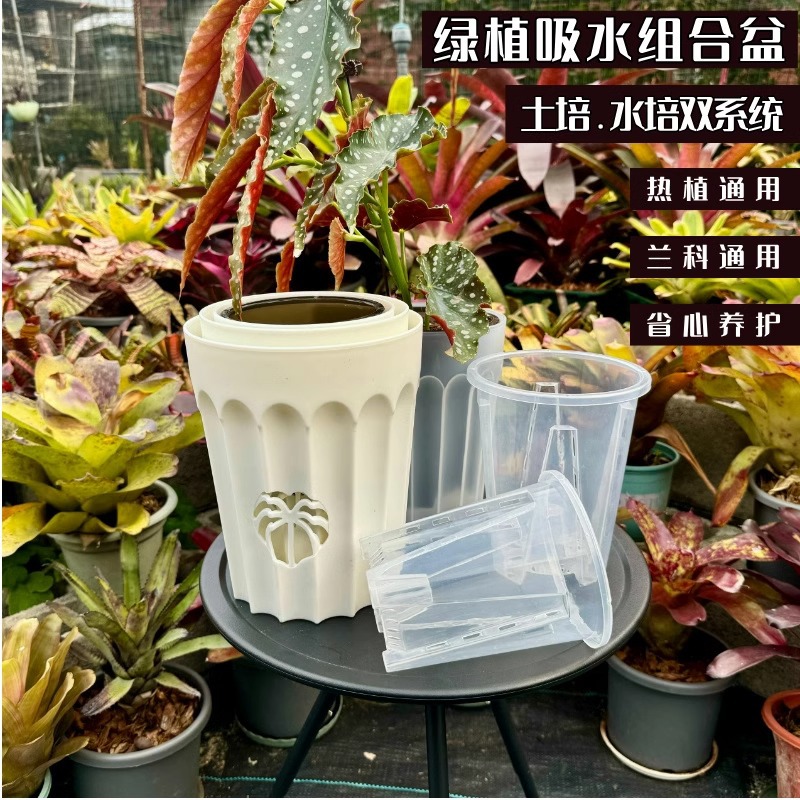 新款懒人吸水盆高透明自吸水塑料花盆洋兰蝴蝶兰花盆组合套盆