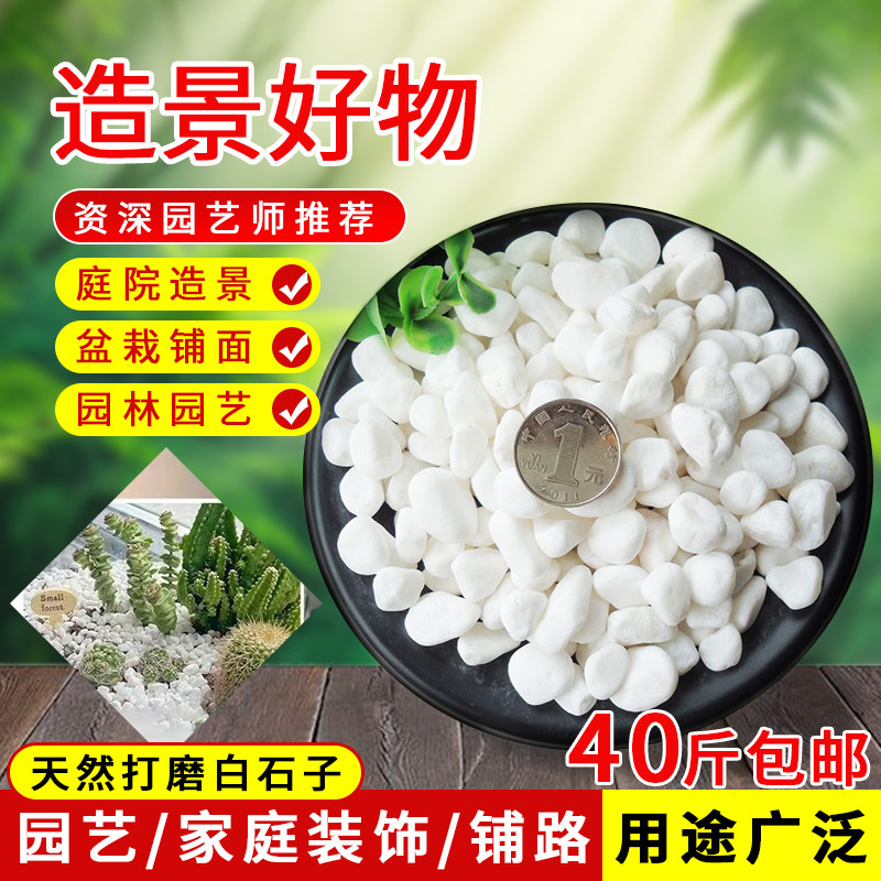 白石子鹅卵石白色小石头庭院造景