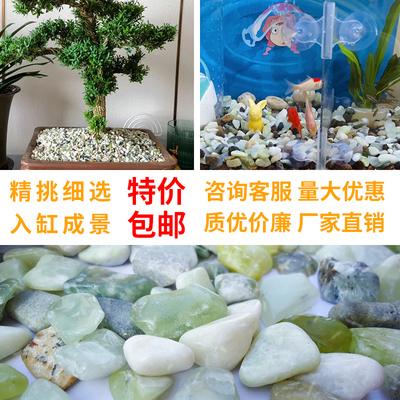 天然雨花石鹅卵石鱼缸花盆铺面石