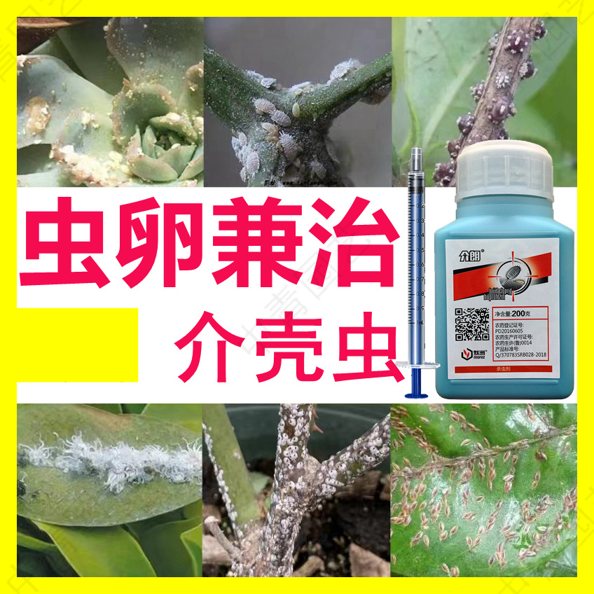 打介壳虫药吹棉吹绵红蜡蚧壳虫草履蚧盾蚧粉蚧矢尖蚧药柑橘专用药