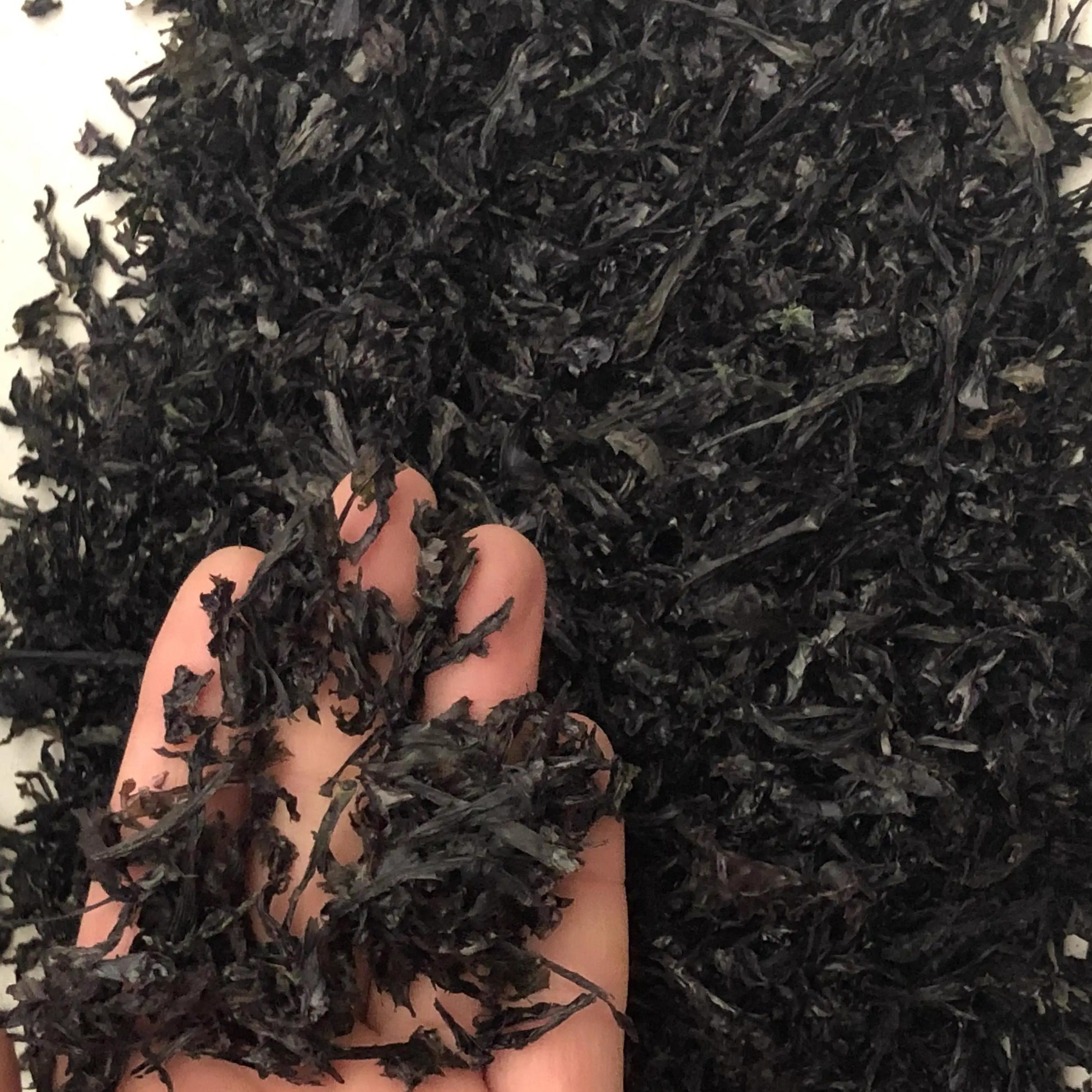 小吴福建霞浦纯二水碎紫菜干货无沙紫菜汤食堂馄饨用散装500g包邮