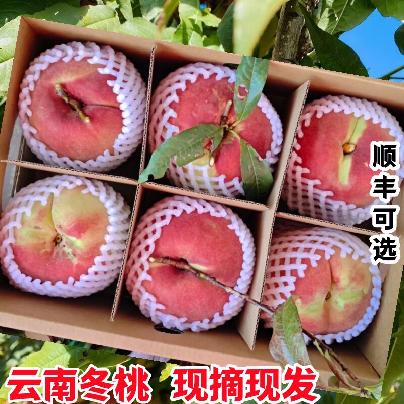 顺丰现摘云南大理冬桃清甜离核毛桃高山桃子整箱包邮孕妇新鲜水果