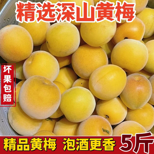 顺丰黄梅泡酒专用梅现摘不隔夜