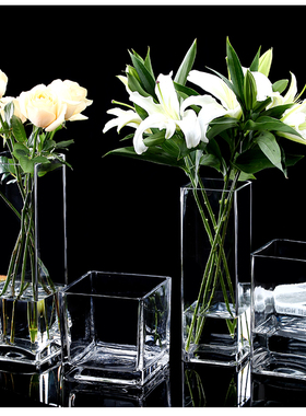 方形落地玻璃花瓶大号特大透明富贵竹插花百合花水养客厅现代简约