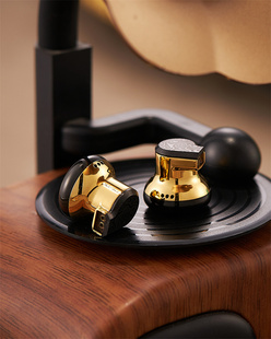 DBX 真锻造大马士革黄金钛合金腔体 平头 耳塞HIFI 限量 已售罄